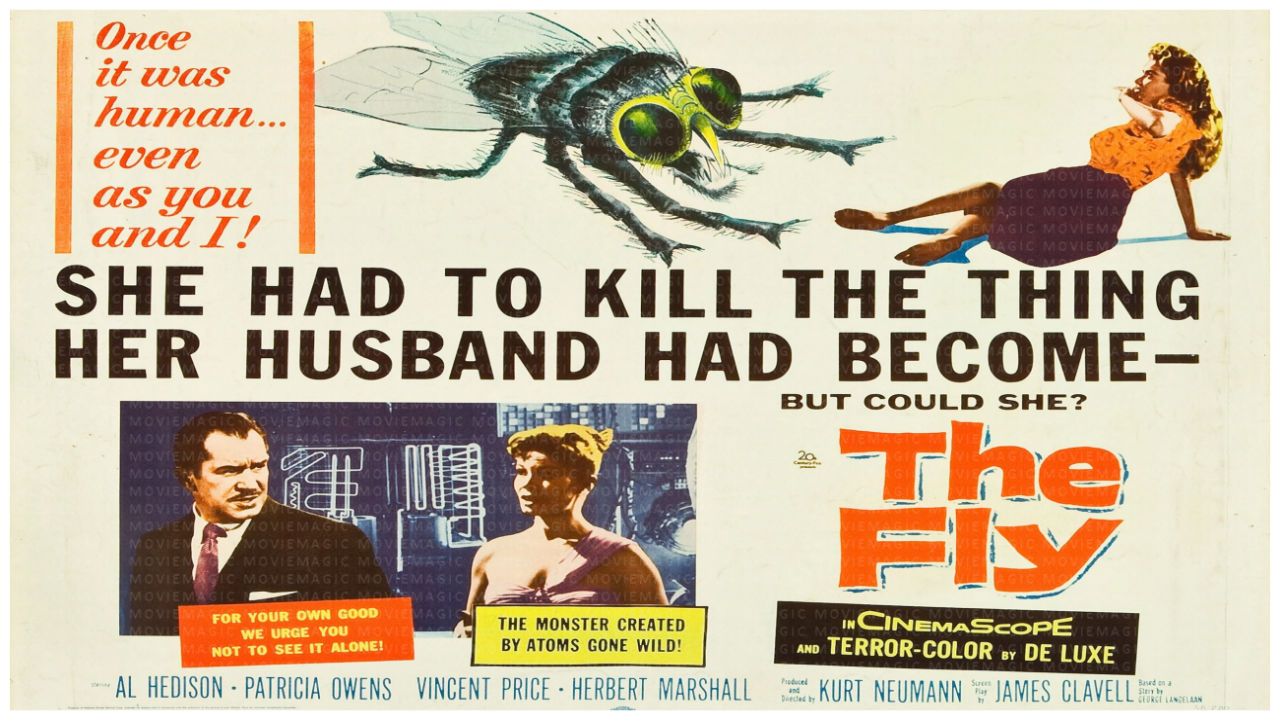 The Fly - 1958 - David Hedison